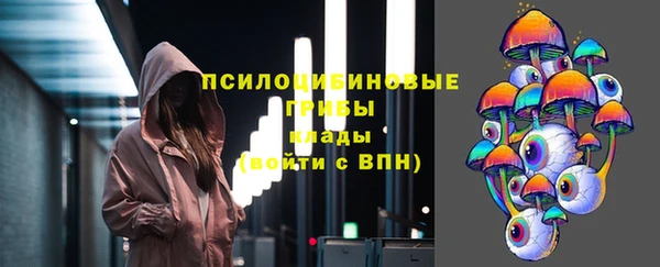 ГАЛЛЮЦИНОГЕННЫЕ ГРИБЫ Пересвет