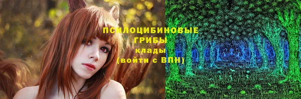 ГАЛЛЮЦИНОГЕННЫЕ ГРИБЫ Пересвет