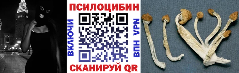 Псилоцибиновые грибы GOLDEN TEACHER  купить наркотик  Сергач 